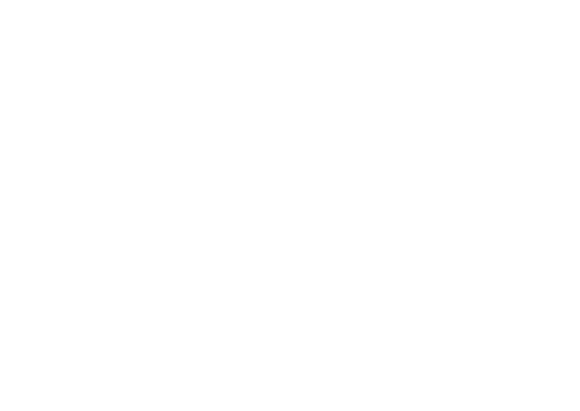 Revue